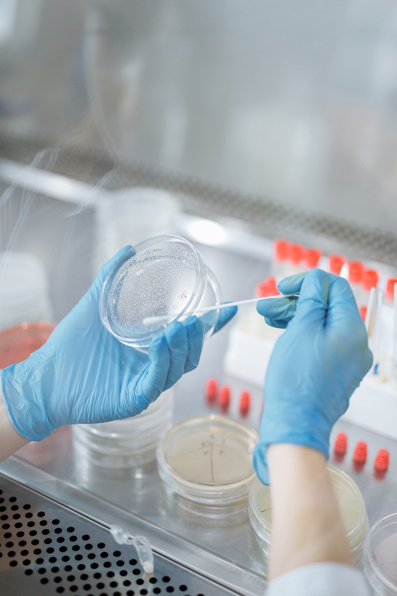 Resumo de mecanismos de resistência antimicrobiana
